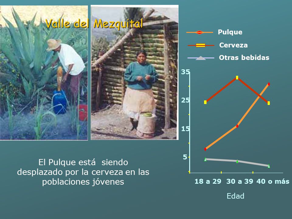 Valle del Mezquital Pulque. Cerveza. Otras bebidas a a o más.