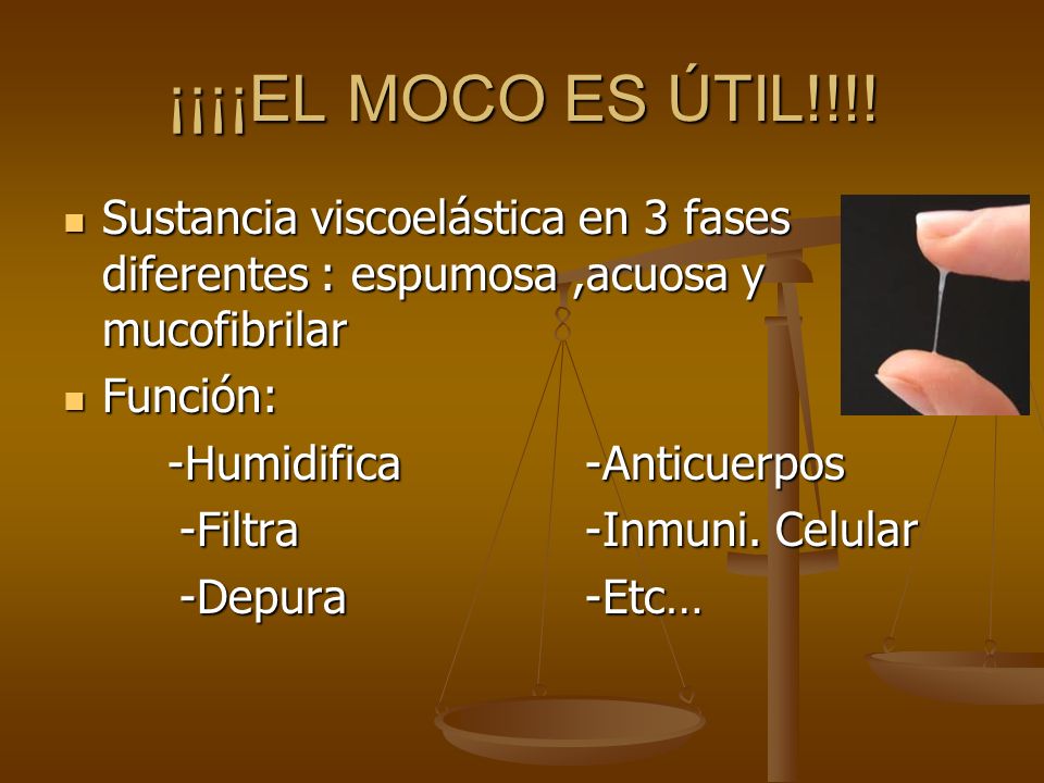 ¡¡¡¡EL MOCO ES ÚTIL!!!! Sustancia viscoelástica en 3 fases diferentes : espumosa ,acuosa y mucofibrilar.