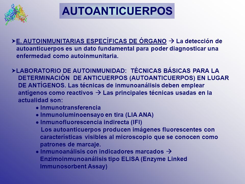 AUTOANTICUERPOS E. AUTOINMUNITARIAS ESPECÍFICAS DE ÓRGANO  La detección de. autoanticuerpos es un dato fundamental para poder diagnosticar una.