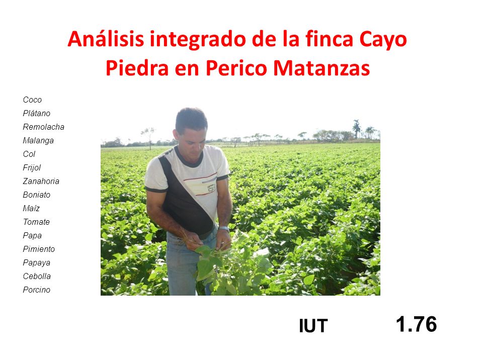 Análisis integrado de la finca Cayo Piedra en Perico Matanzas