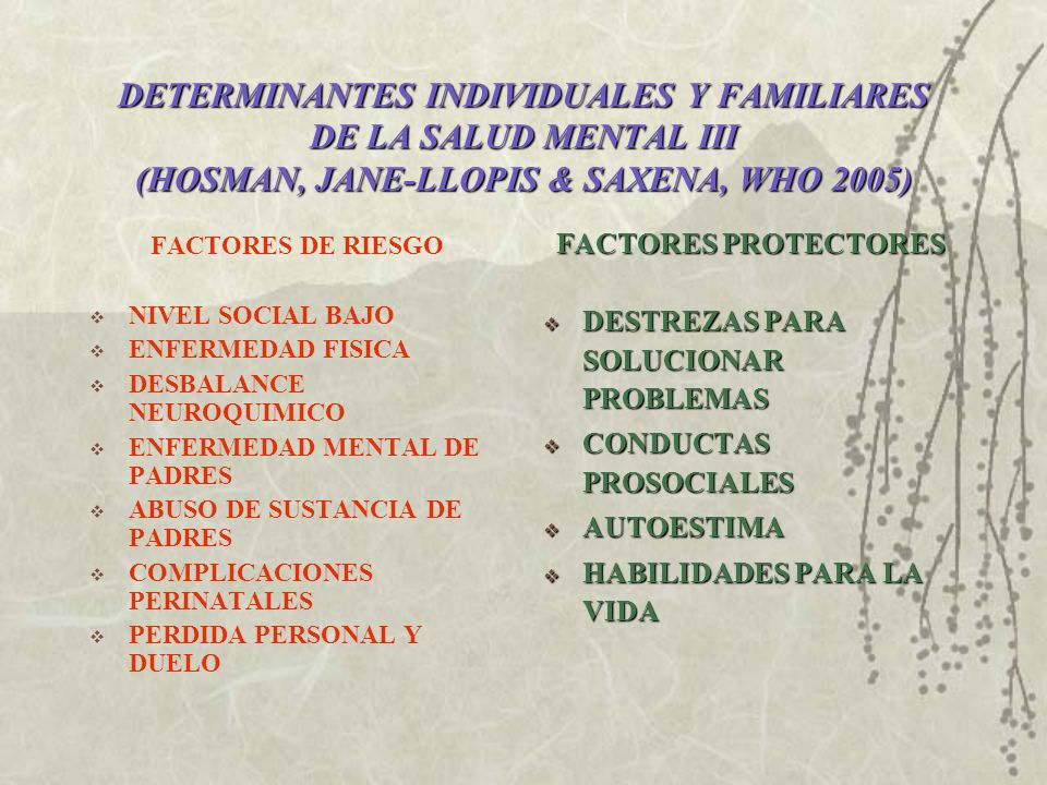 DETERMINANTES INDIVIDUALES Y FAMILIARES DE LA SALUD MENTAL III (HOSMAN, JANE-LLOPIS & SAXENA, WHO 2005)