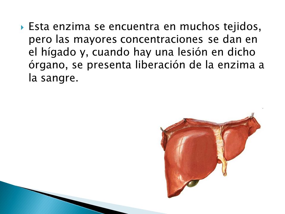 Esta enzima se encuentra en muchos tejidos, pero las mayores concentraciones se dan en el hígado y, cuando hay una lesión en dicho órgano, se presenta liberación de la enzima a la sangre.