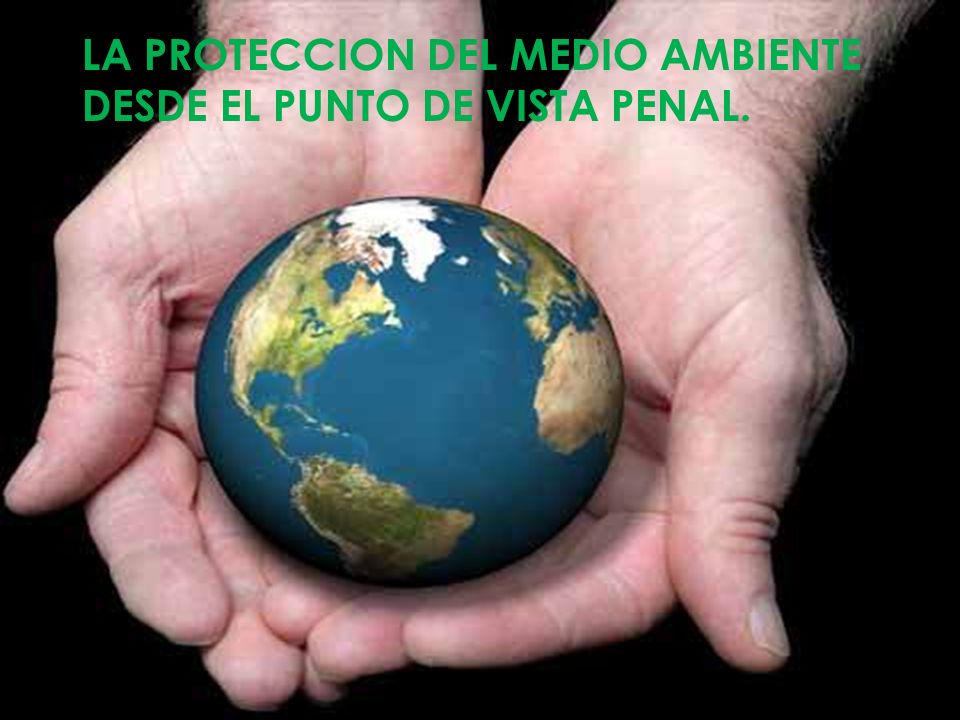 LA PROTECCION DEL MEDIO AMBIENTE DESDE EL PUNTO DE VISTA PENAL.