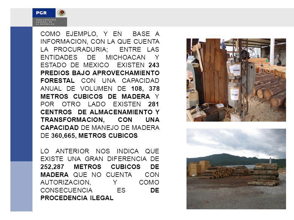 COMO EJEMPLO, Y EN BASE A INFORMACION, CON LA QUE CUENTA LA PROCURADURIA; ENTRE LAS ENTIDADES DE MICHOACAN Y ESTADO DE MEXICO EXISTEN 243 PREDIOS BAJO APROVECHAMIENTO FORESTAL CON UNA CAPACIDAD ANUAL DE VOLUMEN DE 108, 378 METROS CUBICOS DE MADERA Y POR OTRO LADO EXISTEN 281 CENTROS DE ALMACENAMIENTO Y TRANSFORMACION, CON UNA CAPACIDAD DE MANEJO DE MADERA DE 360,665, METROS CUBICOS