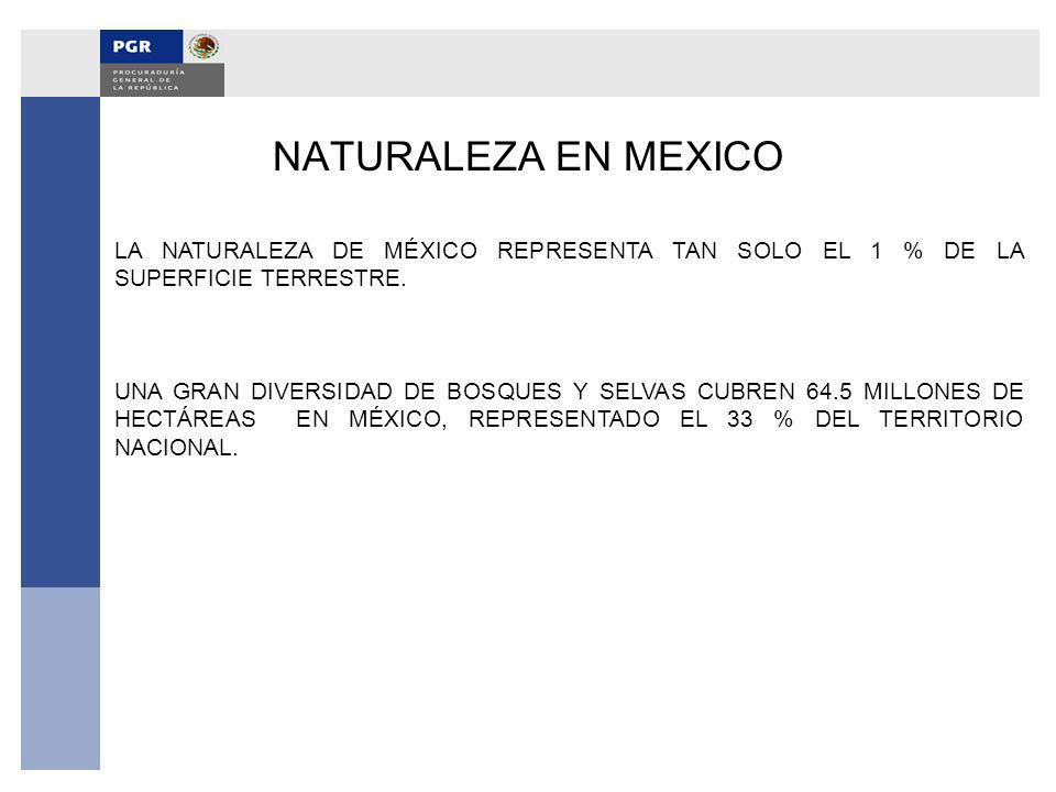 NATURALEZA EN MEXICO LA NATURALEZA DE MÉXICO REPRESENTA TAN SOLO EL 1 % DE LA SUPERFICIE TERRESTRE.