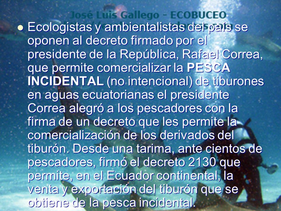 Ecologistas y ambientalistas del país se oponen al decreto firmado por el presidente de la República, Rafael Correa, que permite comercializar la PESCA INCIDENTAL (no intencional) de tiburones en aguas ecuatorianas el presidente Correa alegró a los pescadores con la firma de un decreto que les permite la comercialización de los derivados del tiburón.