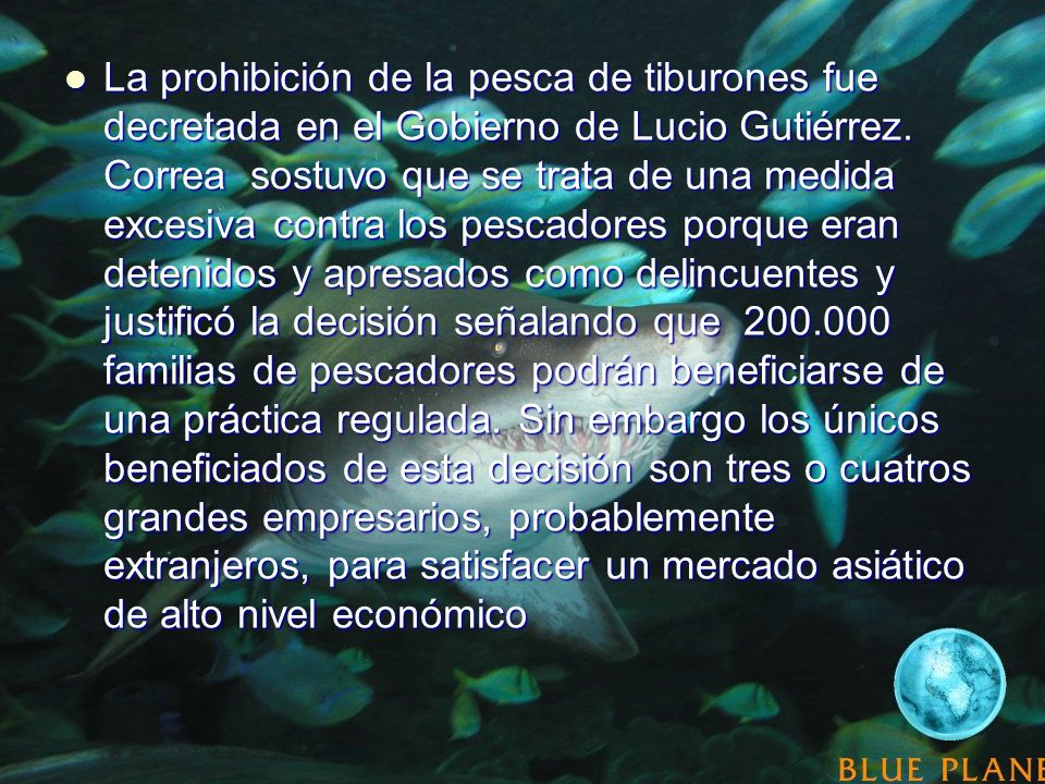 La prohibición de la pesca de tiburones fue decretada en el Gobierno de Lucio Gutiérrez.