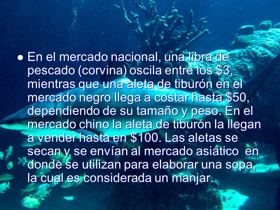 En el mercado nacional, una libra de pescado (corvina) oscila entre los $3, mientras que una aleta de tiburón en el mercado negro llega a costar hasta $50, dependiendo de su tamaño y peso.