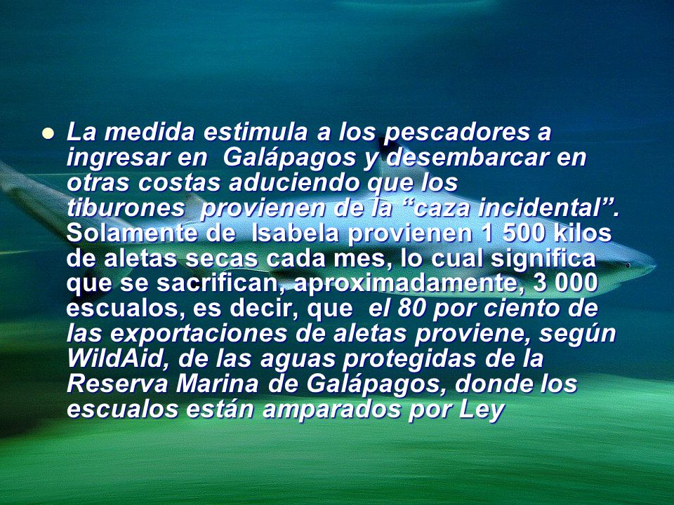La medida estimula a los pescadores a ingresar en Galápagos y desembarcar en otras costas aduciendo que los tiburones provienen de la caza incidental .