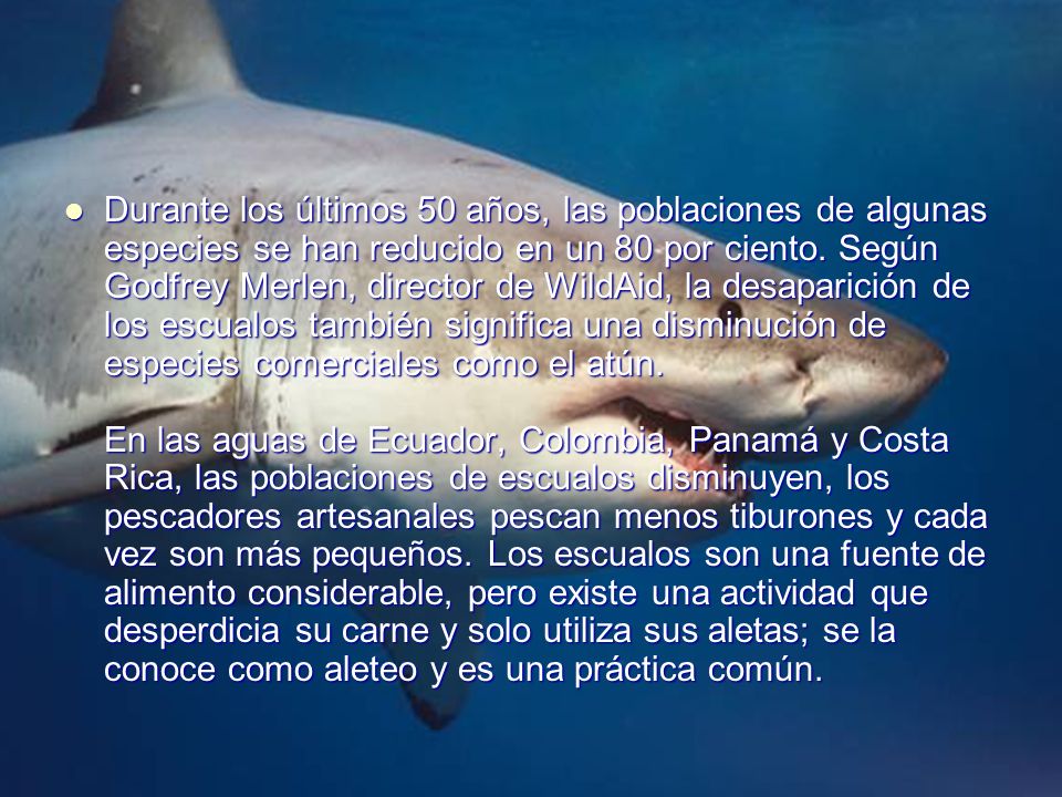 Durante los últimos 50 años, las poblaciones de algunas especies se han reducido en un 80 por ciento.