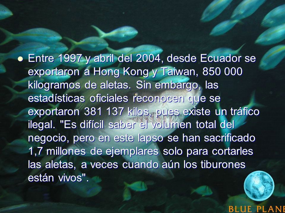 Entre 1997 y abril del 2004, desde Ecuador se exportaron a Hong Kong y Taiwan, kilogramos de aletas.