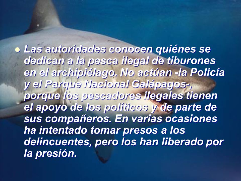 Las autoridades conocen quiénes se dedican a la pesca ilegal de tiburones en el archipiélago.