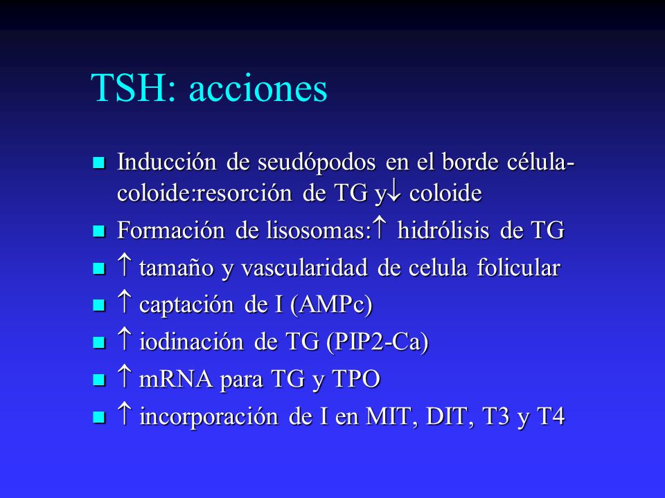 TSH: acciones Inducción de seudópodos en el borde célula-coloide:resorción de TG y coloide. Formación de lisosomas: hidrólisis de TG.