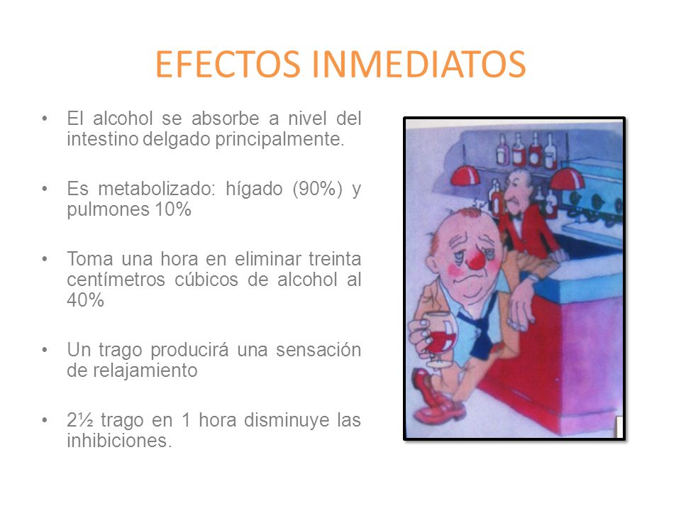 EFECTOS INMEDIATOS El alcohol se absorbe a nivel del intestino delgado principalmente. Es metabolizado: hígado (90%) y pulmones 10%