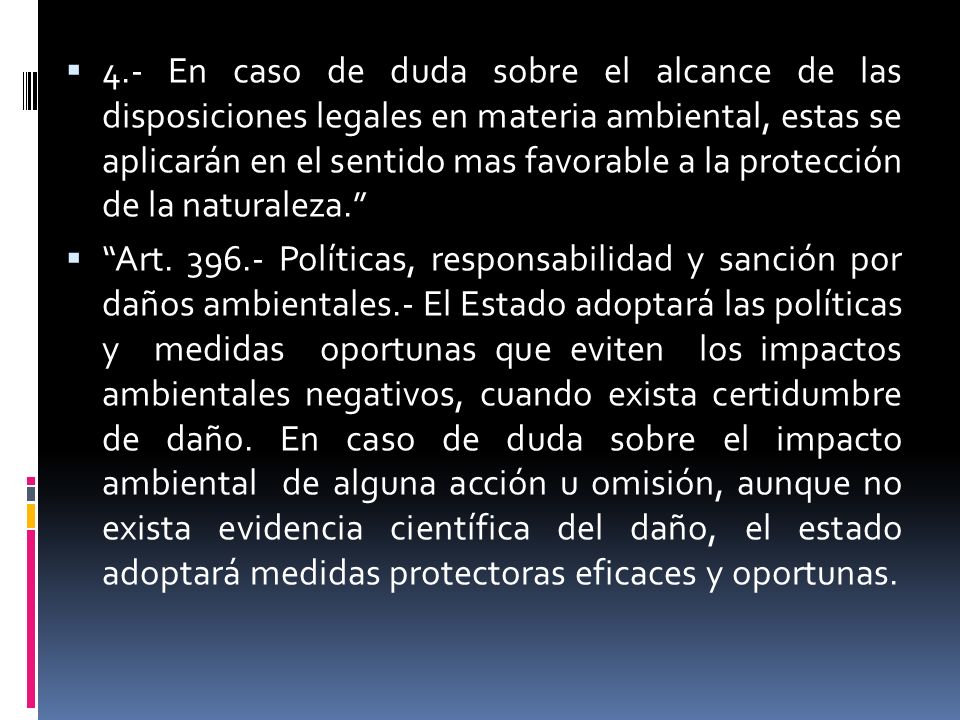 4.- En caso de duda sobre el alcance de las disposiciones legales en materia ambiental, estas se aplicarán en el sentido mas favorable a la protección de la naturaleza.