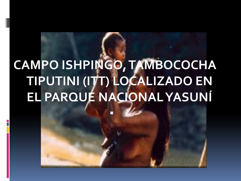 CAMPO ISHPINGO, TAMBOCOCHA TIPUTINI (ITT) LOCALIZADO EN EL PARQUE NACIONAL YASUNÍ