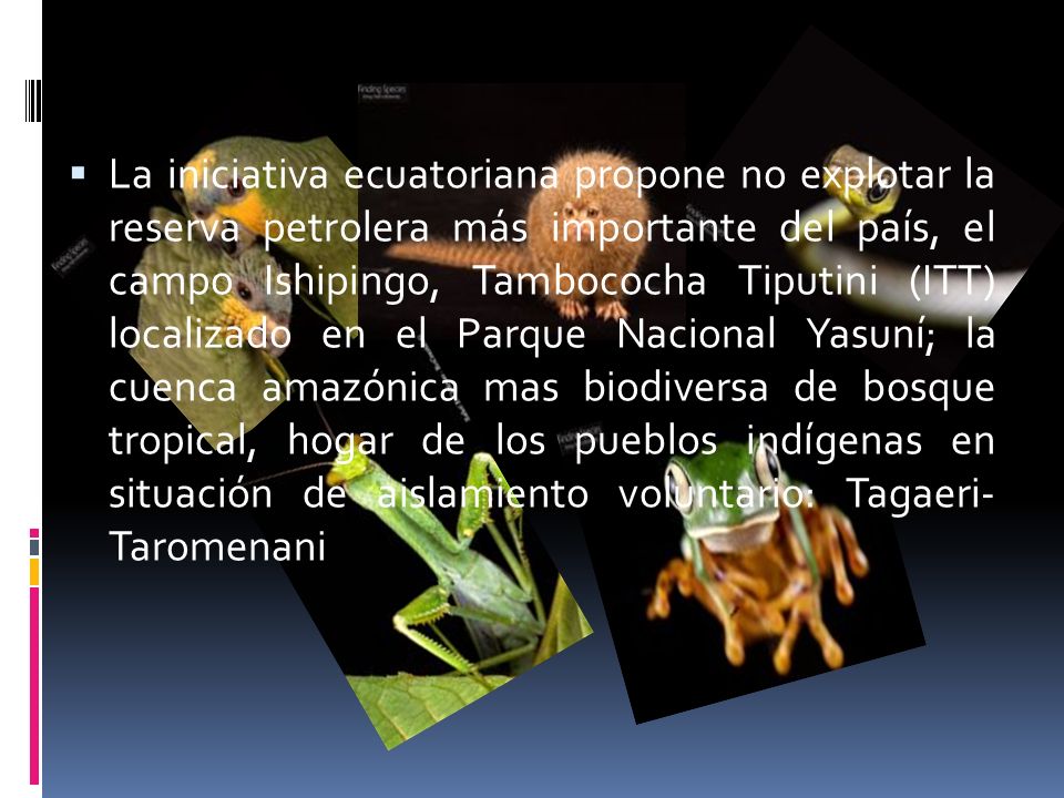 La iniciativa ecuatoriana propone no explotar la reserva petrolera más importante del país, el campo Ishipingo, Tambococha Tiputini (ITT) localizado en el Parque Nacional Yasuní; la cuenca amazónica mas biodiversa de bosque tropical, hogar de los pueblos indígenas en situación de aislamiento voluntario: Tagaeri- Taromenani