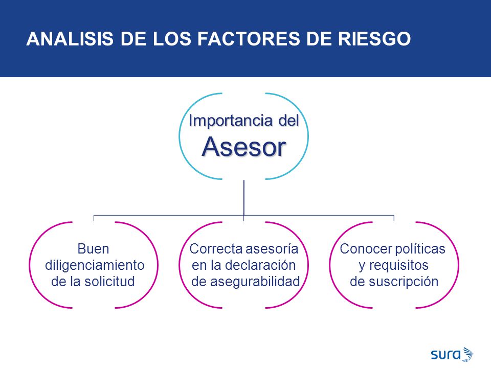 Asesor ANALISIS DE LOS FACTORES DE RIESGO Importancia del Buen