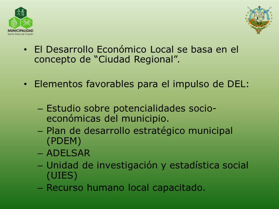 El Desarrollo Económico Local se basa en el concepto de Ciudad Regional .