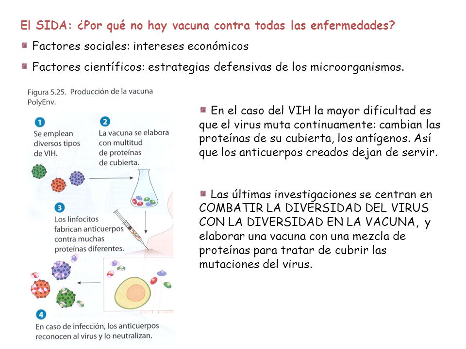El SIDA: ¿Por qué no hay vacuna contra todas las enfermedades