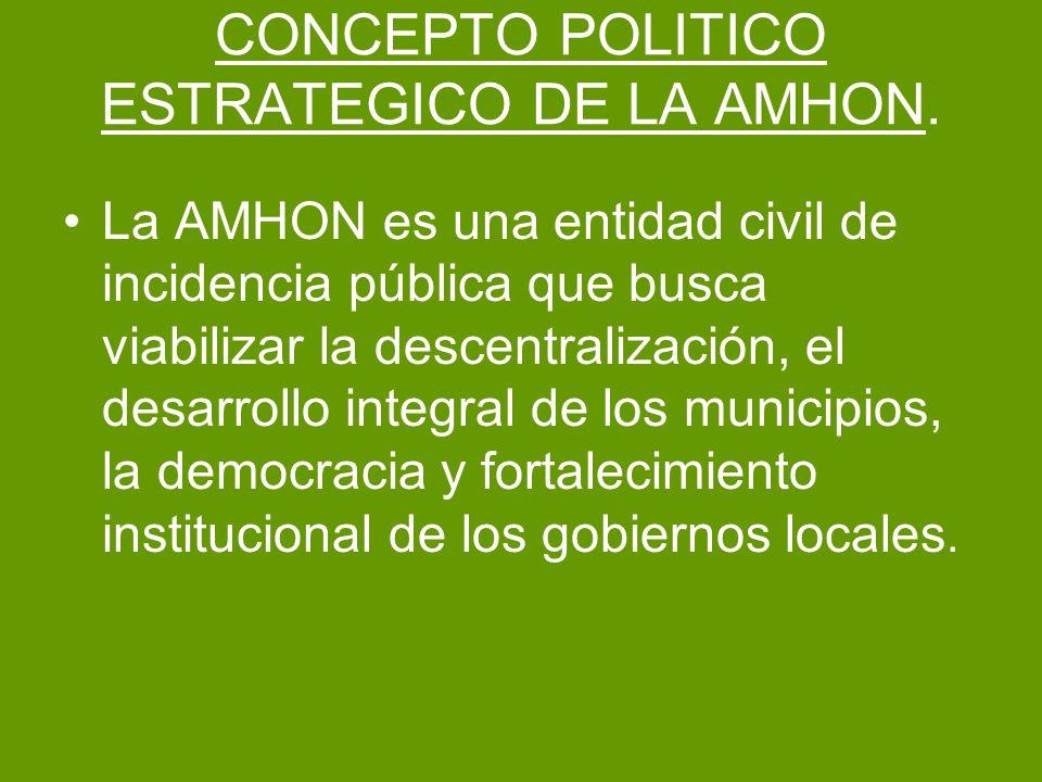 CONCEPTO POLITICO ESTRATEGICO DE LA AMHON.