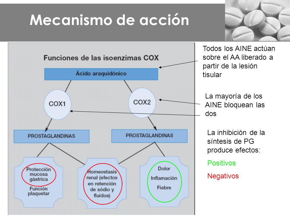 Mecanismo de acción Todos los AINE actúan sobre el AA liberado a partir de la lesión tisular. La mayoría de los AINE bloquean las dos.