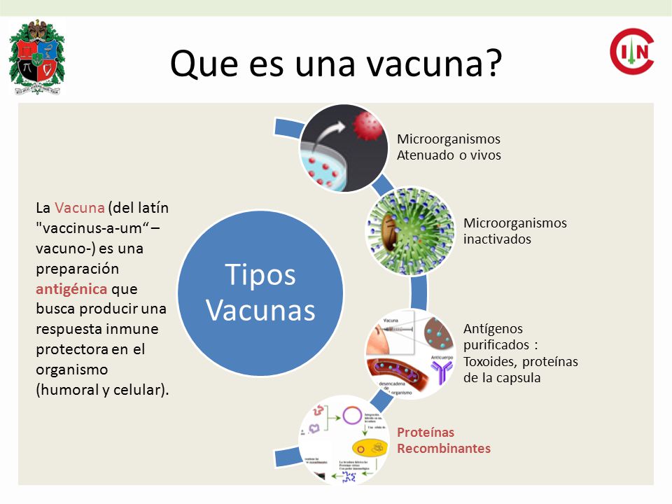 Que es una vacuna Tipos Vacunas