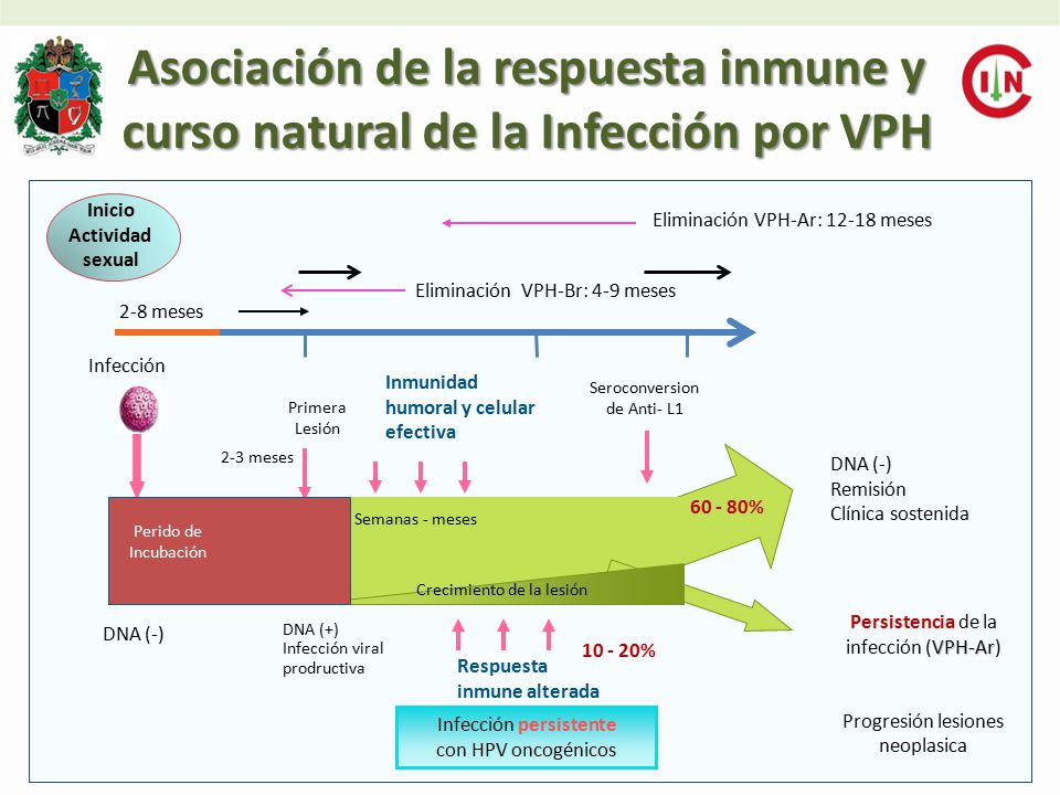Asociación de la respuesta inmune y curso natural de la Infección por VPH