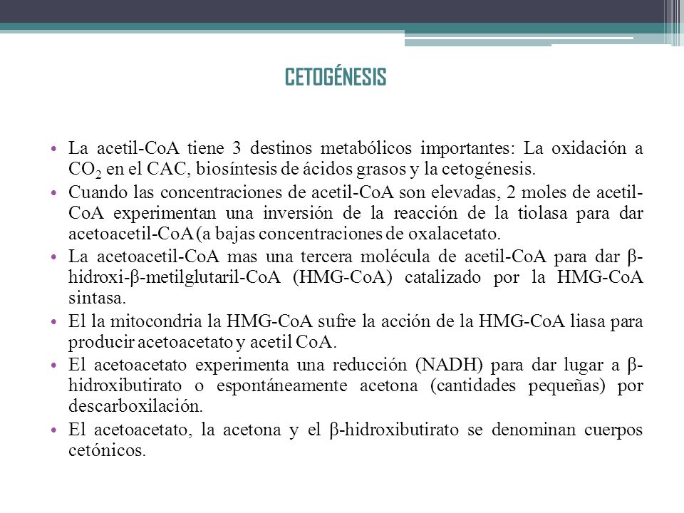 CETOGÉNESIS La acetil-CoA tiene 3 destinos metabólicos importantes: La oxidación a CO2 en el CAC, biosíntesis de ácidos grasos y la cetogénesis.