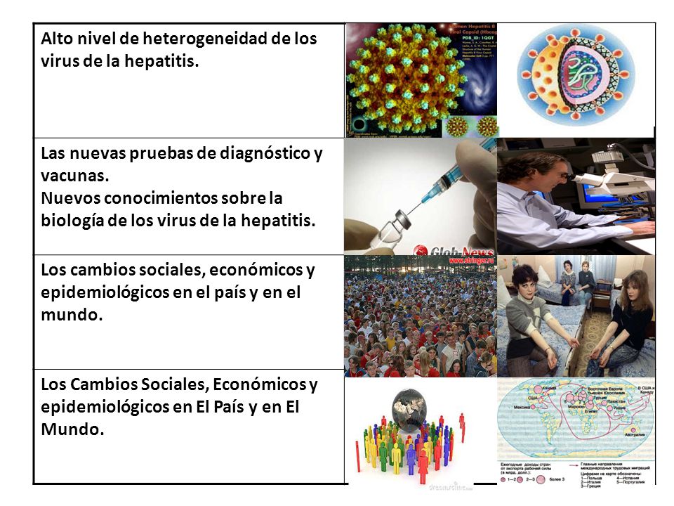 Alto nivel de heterogeneidad de los virus de la hepatitis.