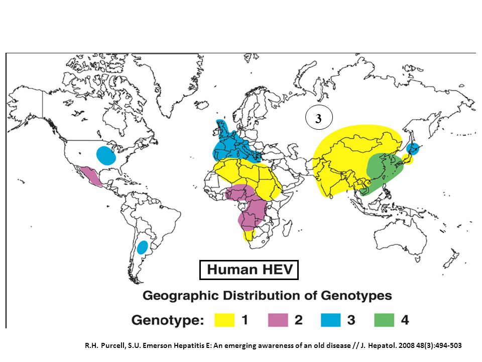 3 R.H. Purcell, S.U. Emerson Hepatitis E: An emerging awareness of an old disease // J.
