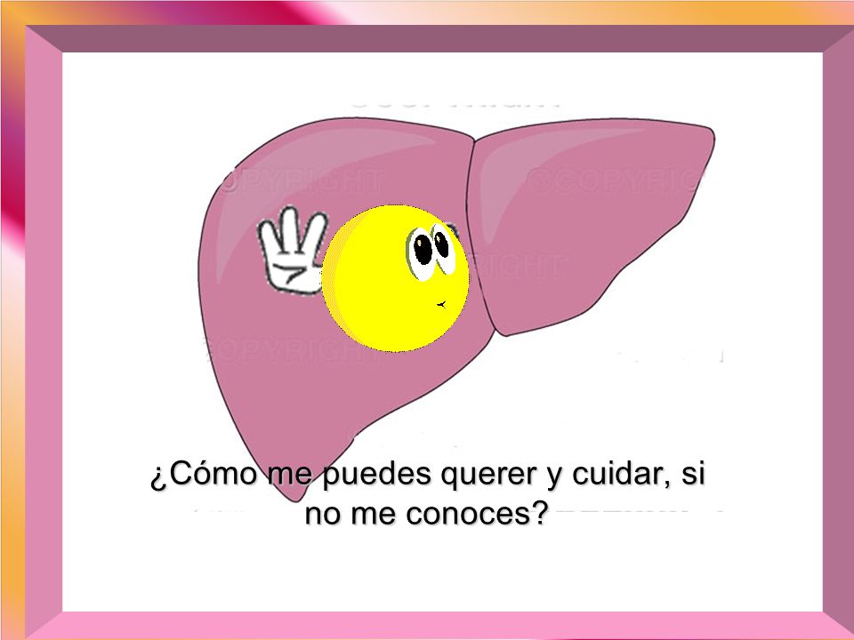 ¿Cómo me puedes querer y cuidar, si no me conoces