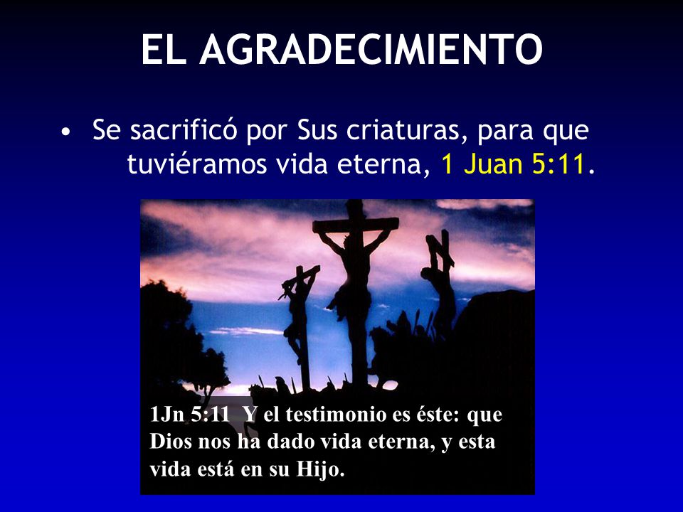 EL AGRADECIMIENTO Se sacrificó por Sus criaturas, para que tuviéramos vida eterna, 1 Juan 5:11.