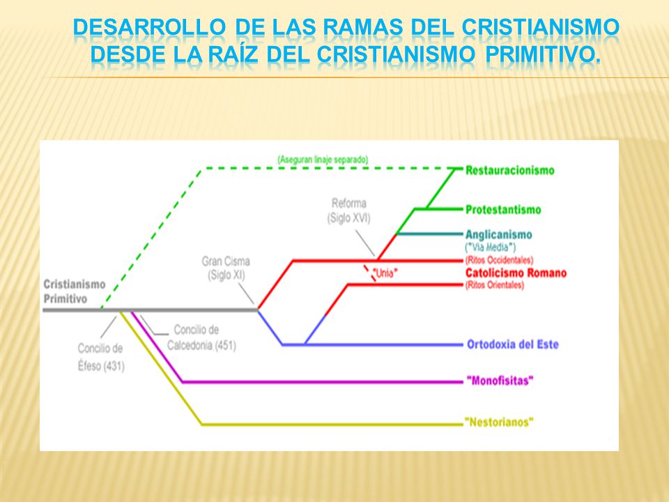 Desarrollo de las ramas del cristianismo desde la raíz del cristianismo primitivo.