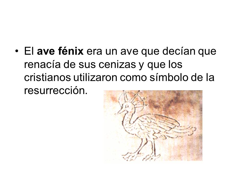 El ave fénix era un ave que decían que renacía de sus cenizas y que los cristianos utilizaron como símbolo de la resurrección.
