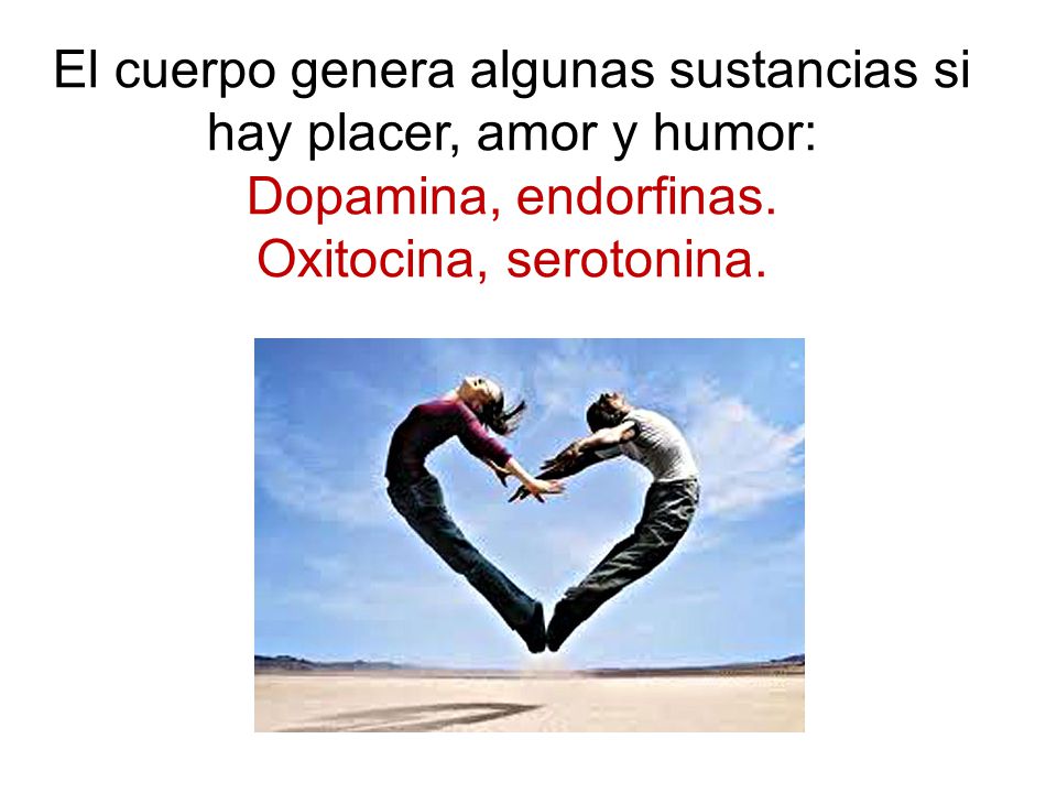 El cuerpo genera algunas sustancias si hay placer, amor y humor: