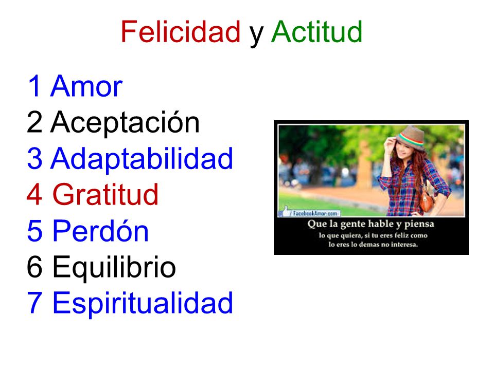 Felicidad y Actitud 1 Amor. 2 Aceptación. 3 Adaptabilidad. 4 Gratitud. 5 Perdón. 6 Equilibrio.