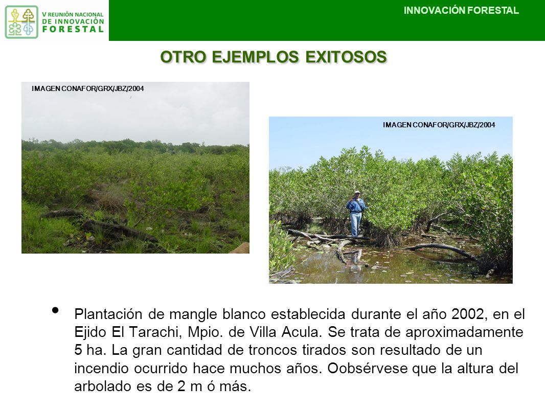 OTRO EJEMPLOS EXITOSOS