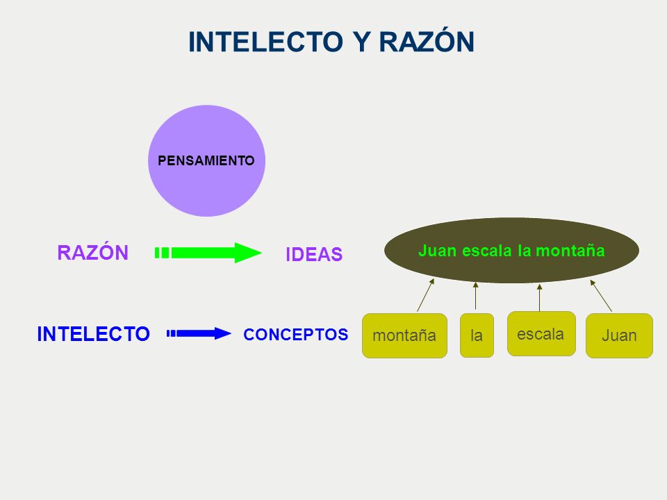 INTELECTO Y RAZÓN RAZÓN INTELECTO IDEAS Juan escala la montaña montaña