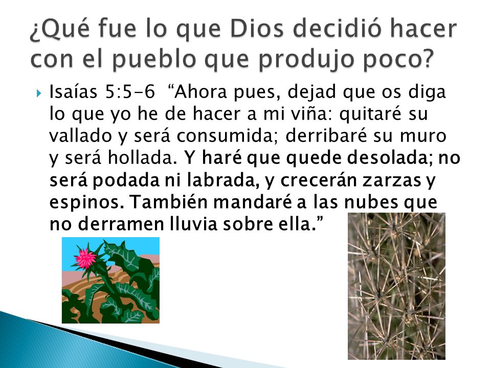 ¿Qué fue lo que Dios decidió hacer con el pueblo que produjo poco