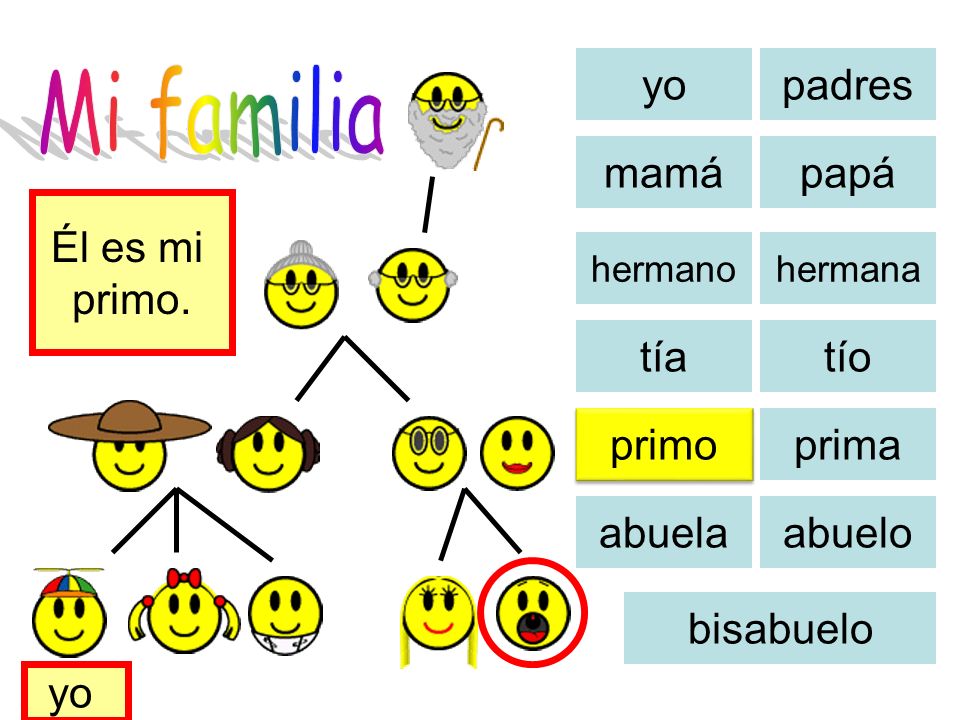 Mi familia yo padres mamá papá Él es mi primo. tía tío primo prima