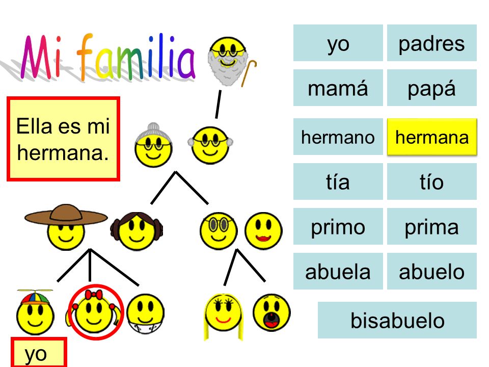 Mi familia yo padres mamá papá Ella es mi hermana. tía tío primo prima