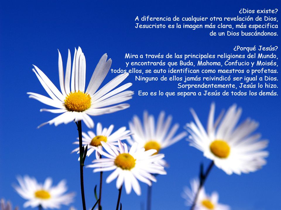 ¿Dios existe A diferencia de cualquier otra revelación de Dios, Jesucristo es la imagen más clara, más especifica.