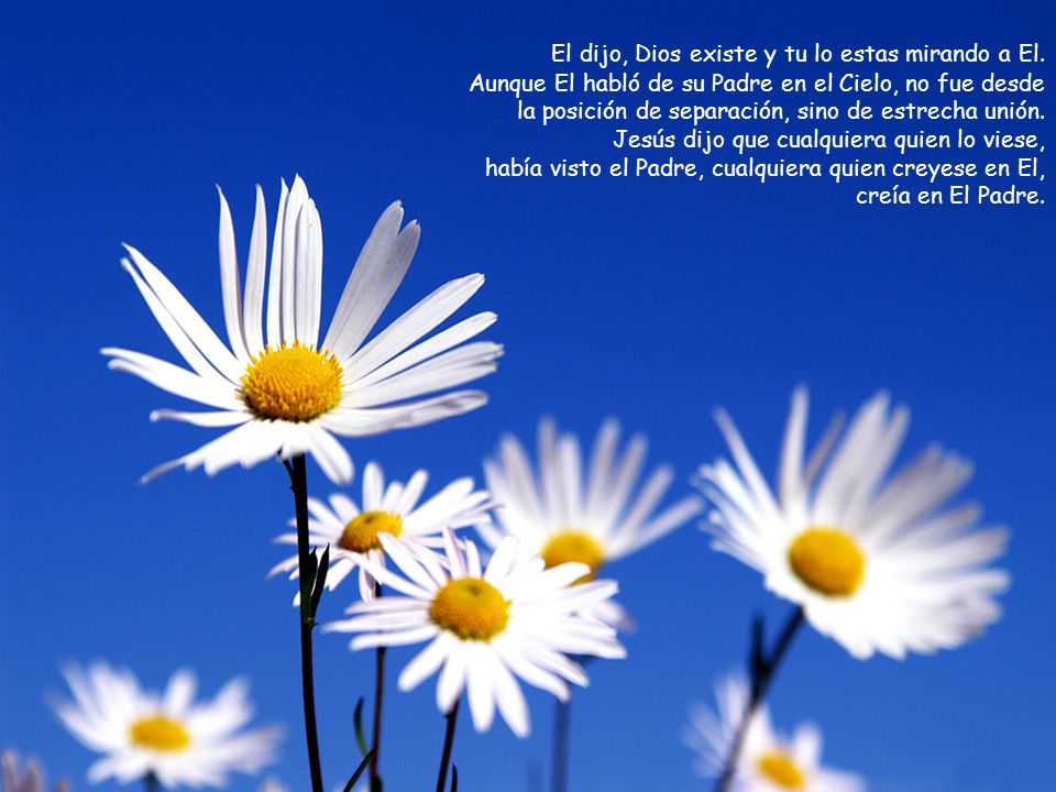 El dijo, Dios existe y tu lo estas mirando a El.