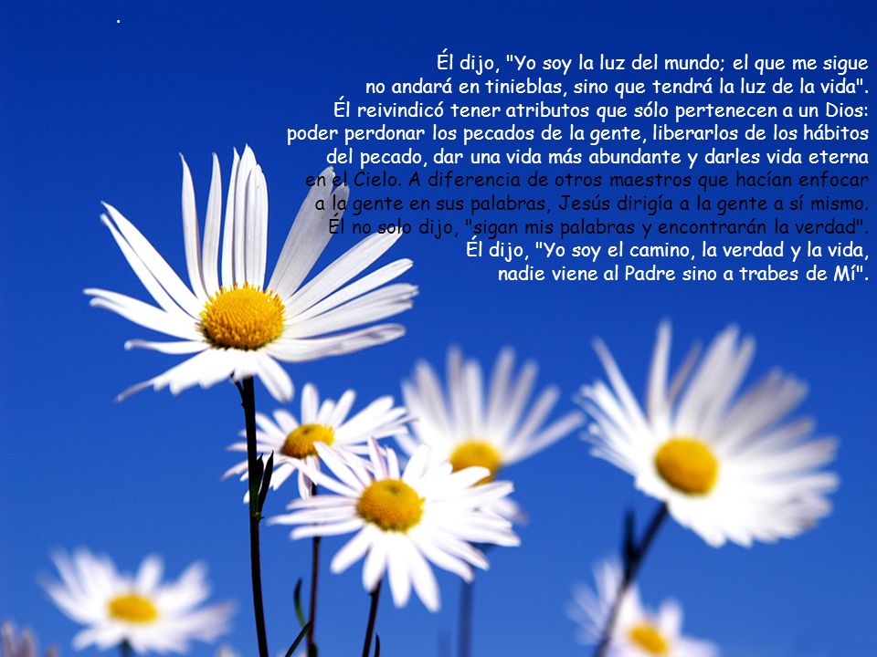 . Él dijo, Yo soy la luz del mundo; el que me sigue. no andará en tinieblas, sino que tendrá la luz de la vida .