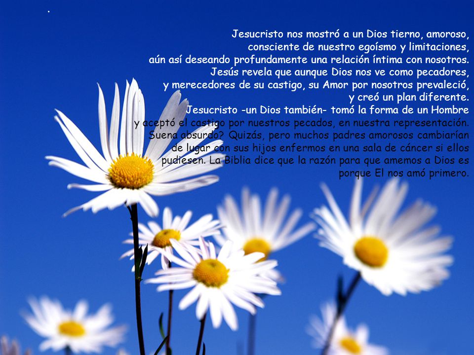 . Jesucristo nos mostró a un Dios tierno, amoroso, consciente de nuestro egoísmo y limitaciones,