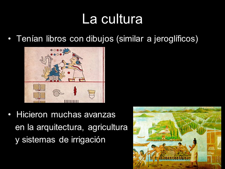 La cultura Tenían libros con dibujos (similar a jeroglíficos)