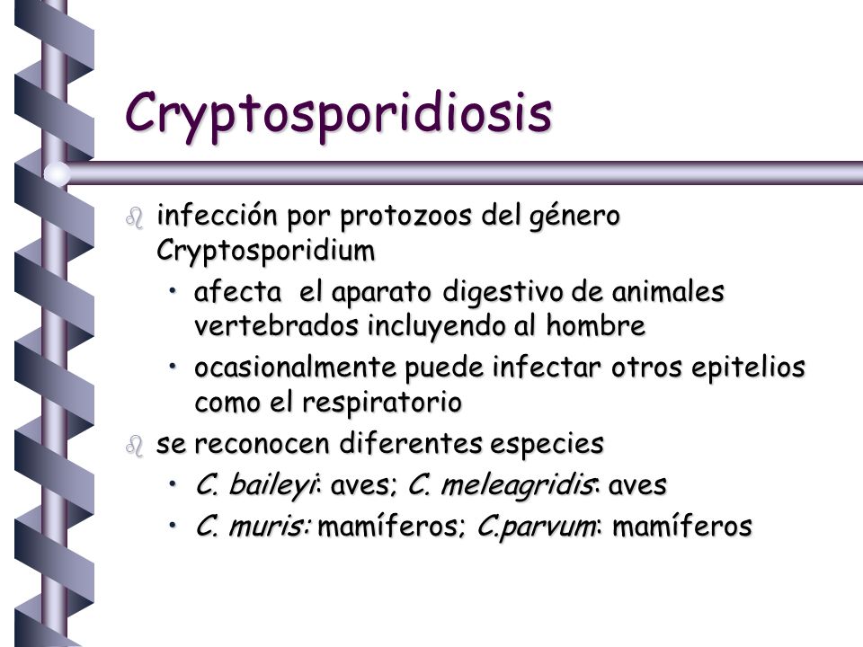 Cryptosporidiosis infección por protozoos del género Cryptosporidium