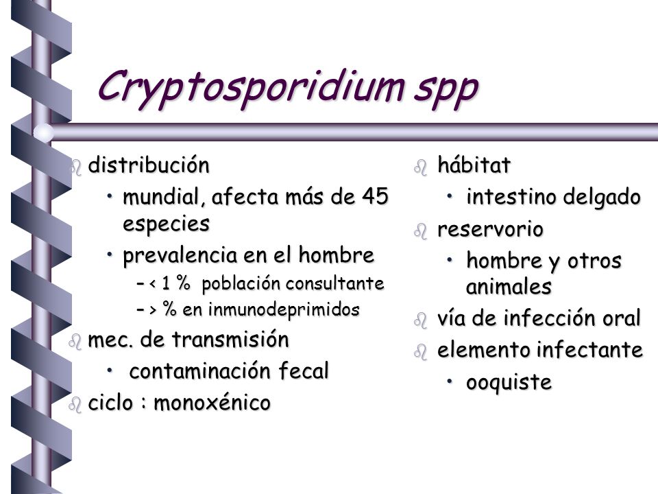 Cryptosporidium spp distribución mundial, afecta más de 45 especies