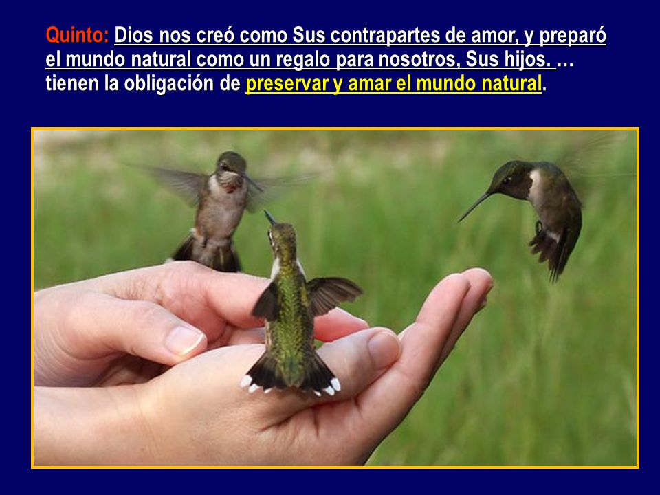 Quinto: Dios nos creó como Sus contrapartes de amor, y preparó el mundo natural como un regalo para nosotros, Sus hijos.